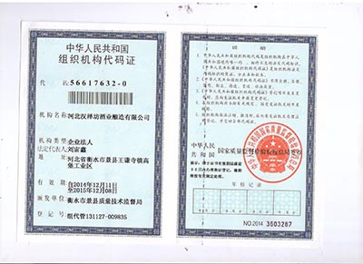 组织机构代码证正本